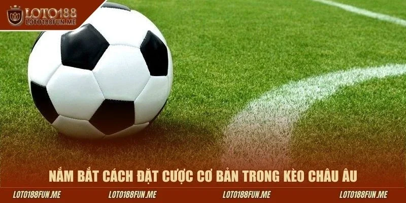 Nắm bắt cách đặt cược cơ bản trong kèo châu Âu
