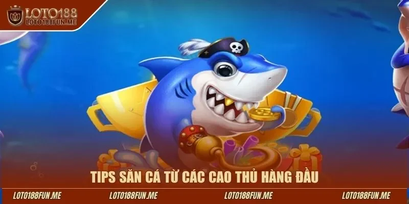 Tips săn cá từ các cao thủ hàng đầu